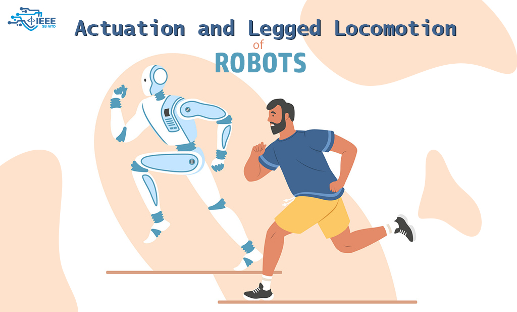 Actuation and Legged Locomotion in Robots